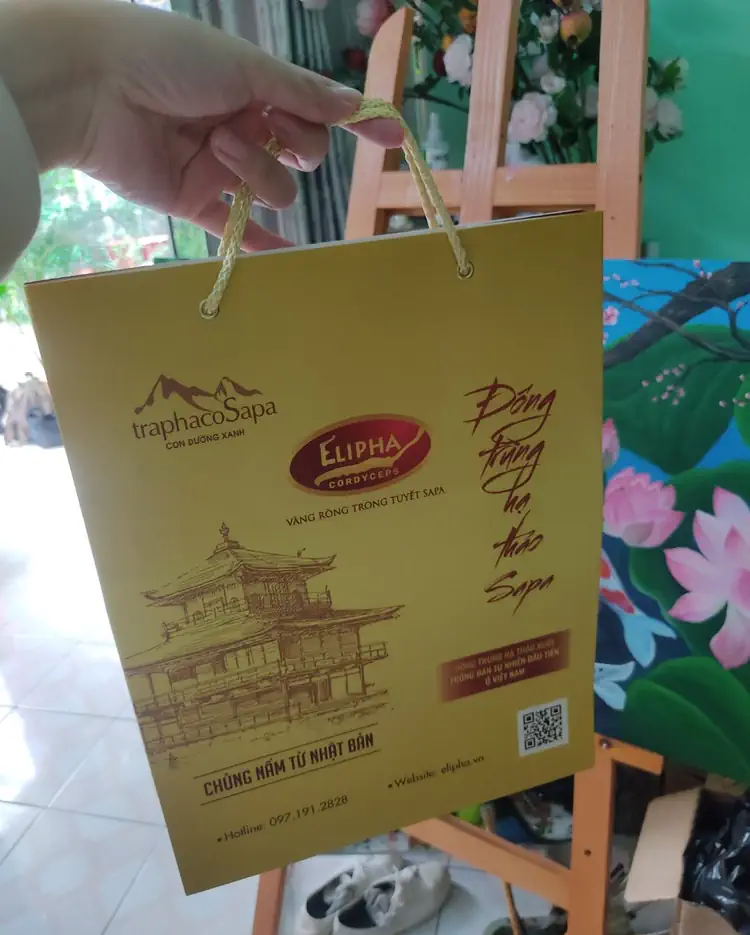 Túi đựng hộp Viên Nang Đông Trùng Hạ Thảo Sapa 28 viên có thể dùng làm quà tặng - Traphaco Sapa - Droppii Shops