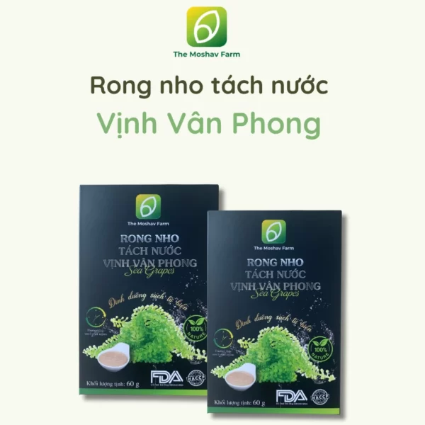 Rong Nho Tách Nước Vịnh Vân Phong - The Moshav Farm - Droppii Shops