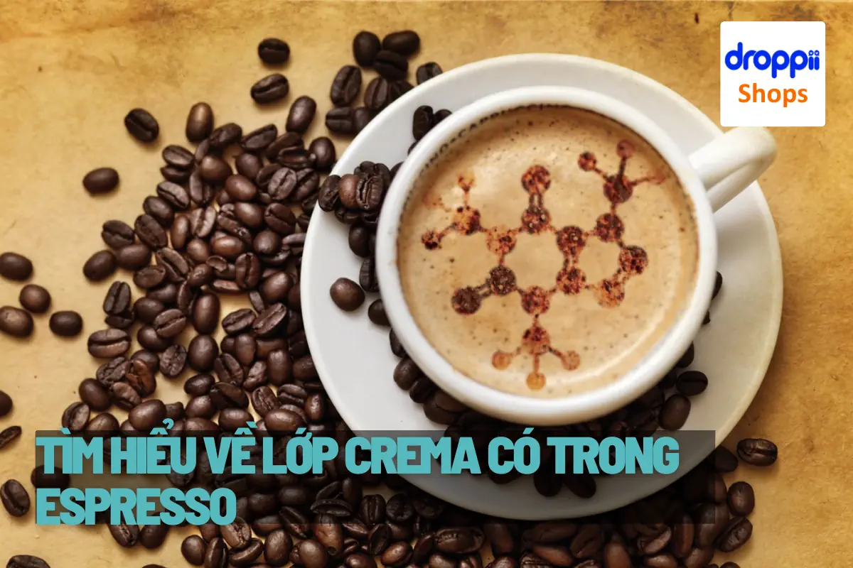 Crema Là Gì - Thành Phần Crema Trong Một Cốc Espresso