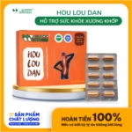 Thực Phẩm Giảm đau Xương Khớp Hou Lou Dan - Droppii Shops