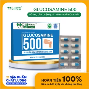 Thực Phẩm Làm Chậm Thoái Hóa Khớp Glucosamine 500 Life Gift - Droppii Shops