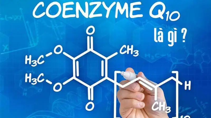 Coenzyme Q10 Là Gì